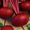 Beetroot D'Egypte