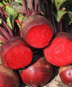 Beetroot Detroit 2
