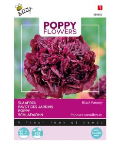 black-peony-poppy