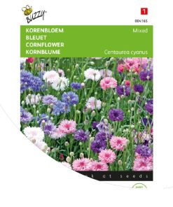 buzzy-cornflower-double-flowered-mixed