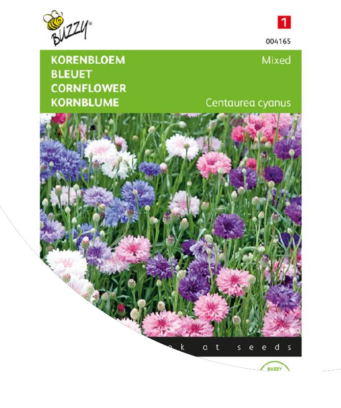 buzzy-cornflower-double-flowered-mixed