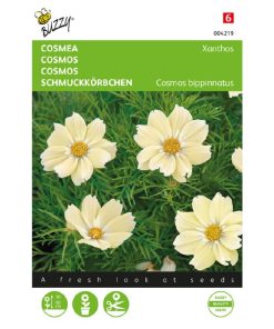 cosmos xanthos