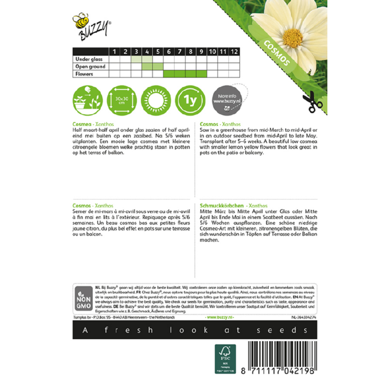 Buzzy Cosmos Xanthos seeds 10 s - Image 2