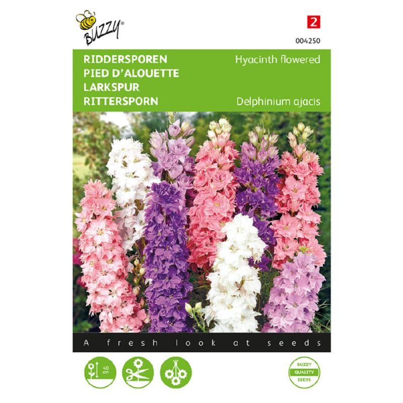 Delphinium, Larkspur - Hyacinth flowered