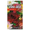 dahlia-amadeus-mixed