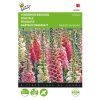 buzzy-foxglove-mixed