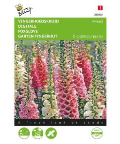 buzzy-foxglove-mixed