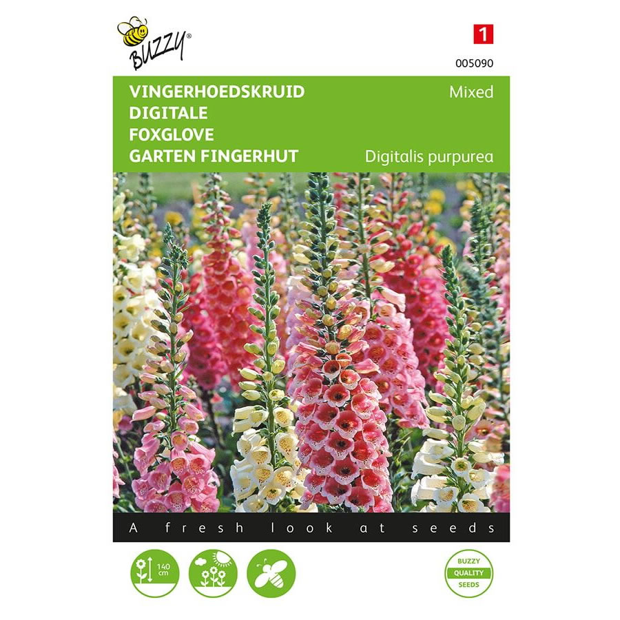 buzzy-foxglove-mixed