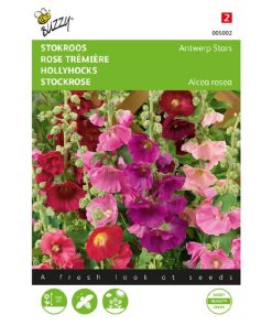 buzzy-hollyhock-stars-mix