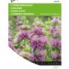 buzzy-monarda-lemon-bergamont