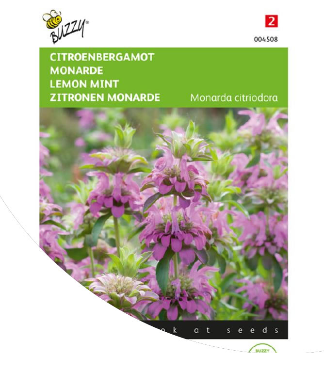 buzzy-monarda-lemon-bergamont