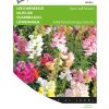 buzzy-snapdragon-semi-tall-mixed