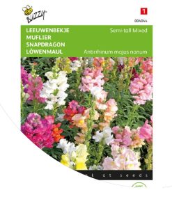 buzzy-snapdragon-semi-tall-mixed