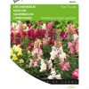 buzzy-snapdragon-tom-thumb-mixed