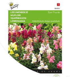 buzzy-snapdragon-tom-thumb-mixed