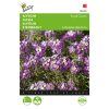 Buzzy® Alyssum Royal Carpet 0.5g
