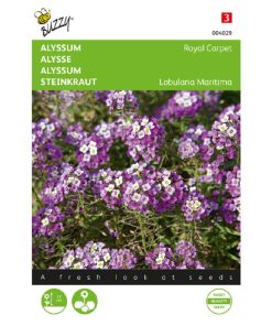 Buzzy® Alyssum Royal Carpet 0.5g