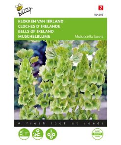 Buzzy® Molucella, Bells of Ireland seeds 0.75g