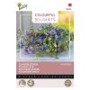 Buzzy® Colorful Bouquets seeds, Royal Blue 3g