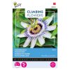 Buzzy® Climbing Flowers, Blue Passionflower 0.5g