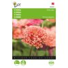 Buzzy® Zinnia seeds Eldorado 1g