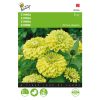 Buzzy® Zinnia seeds Envy 1g