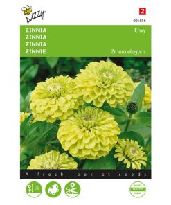 Buzzy® Zinnia seeds Envy 1g