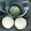 Cabbage Parel F1