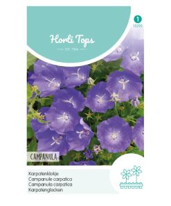 Alternative view of HT Campanula seeds Carpatica Blue 0.25g