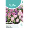 HT Campanula seeds Marsh Marigold mixed 0.4g