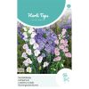 HT Campanula seeds Single-Flowered Bellflower Mix 0.25g