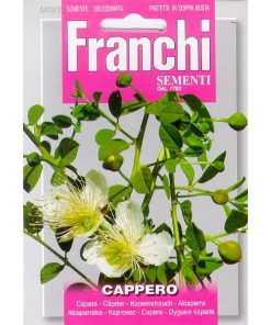 Franchi Capers seeds, Cappero 20/2 1g