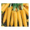 Carrot Fodder Carrot Lobo
