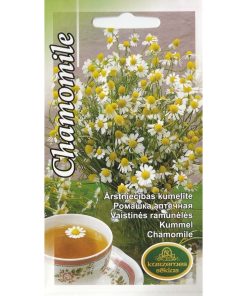 chamomile-common