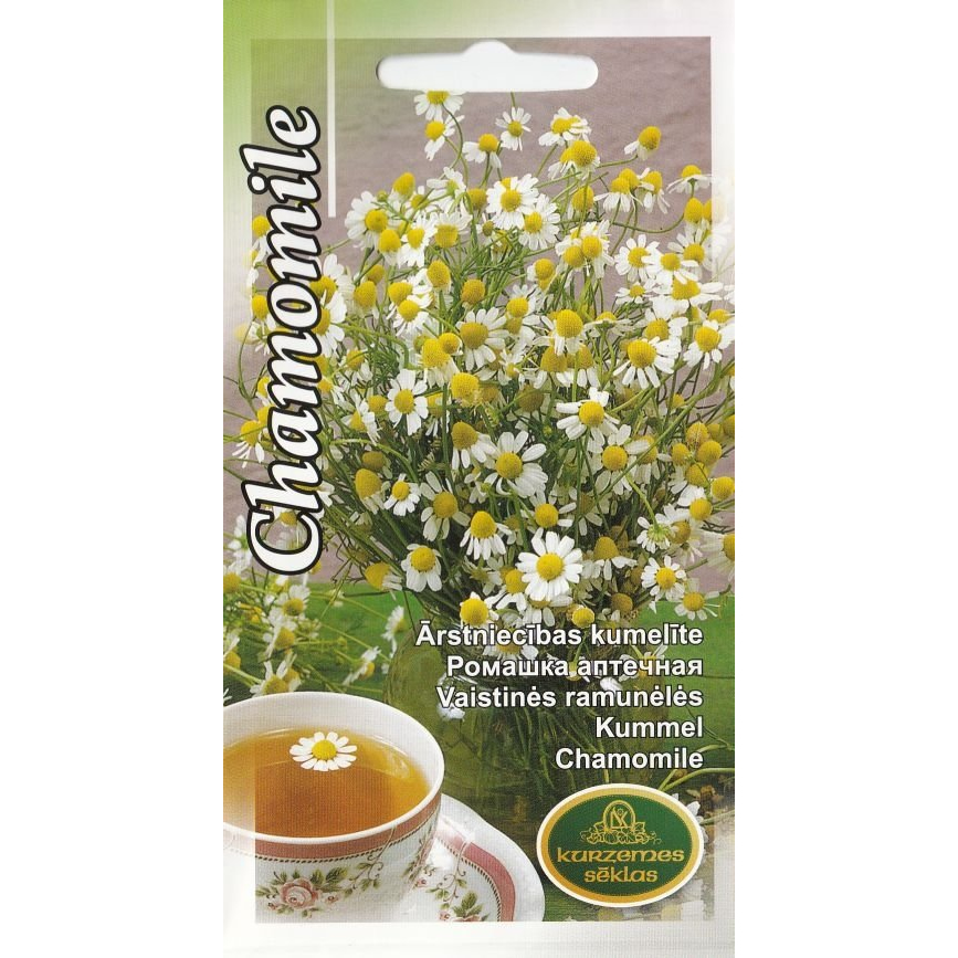 chamomile-common