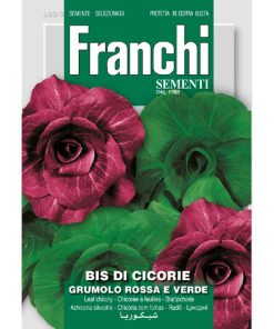 Franchi Chicory seeds red and green 12g