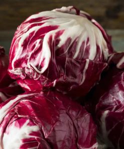 Chicory Palla Rossa 3 0.5g