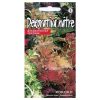 Coleus Seeds Decorative nettle Rokoko