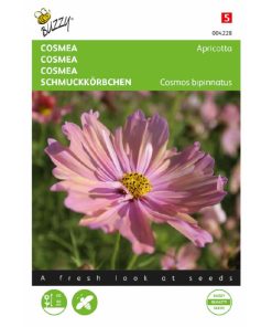 Buzzy® Cosmos seeds, Cosmea Apricotta 30s