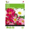 cosmos-sea-stars-mixed