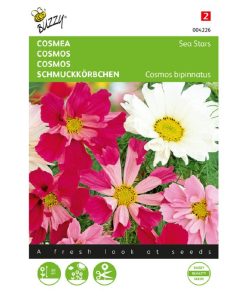 cosmos-sea-stars-mixed