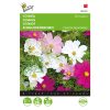 cosmea-sensation-mixed