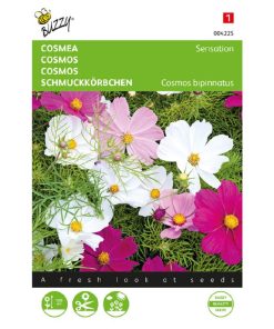 cosmea-sensation-mixed