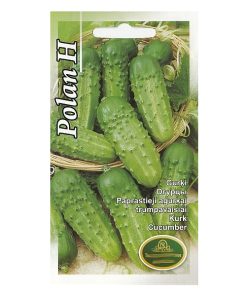 Cucumber seeds Polan H 1g