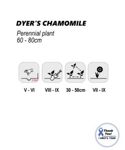 Alternative view of Dyers Chamomile Seeds Yellow 1g