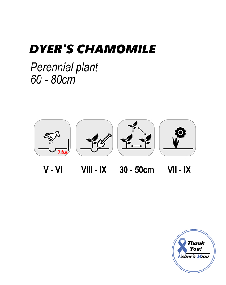 Dyers Chamomile Seeds Yellow 1g - Image 2