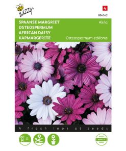 Buzzy® Osteospermum, Spanish Margriet Akila mix 10s