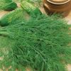Dill Seeds Mammut