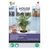 Buzzy House Plant Dwarf Palm 15s (840107)