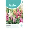 foxglove mixed